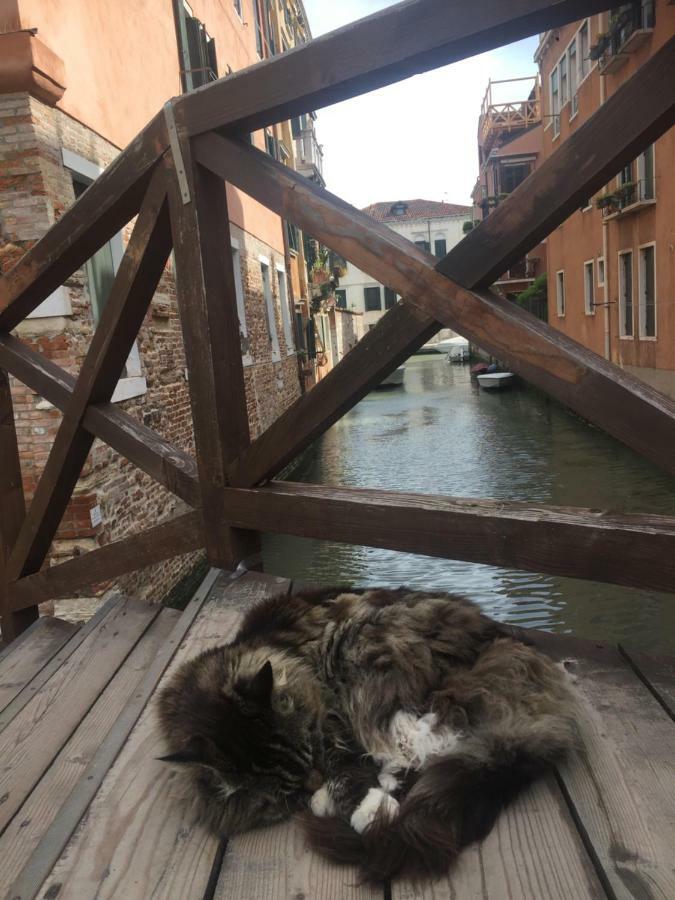 TINTORETTO 1 CON TERRAZZA SOPRA IL TETTO, 3 bagni, 3 grandi camere da letto, SUPER NUOVO Venezia Esterno foto